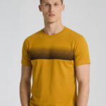 Printed Round Neck T-Shirt
